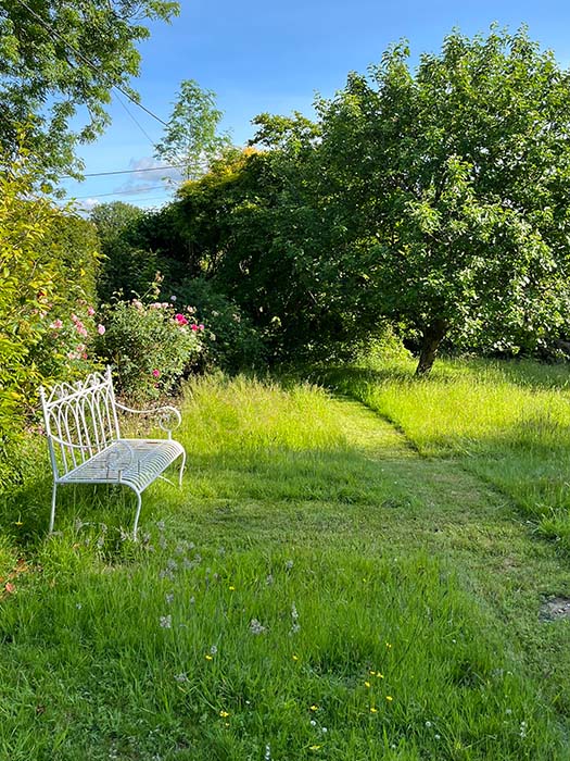 pen selwood retreat nature garden with bench in tranquil location