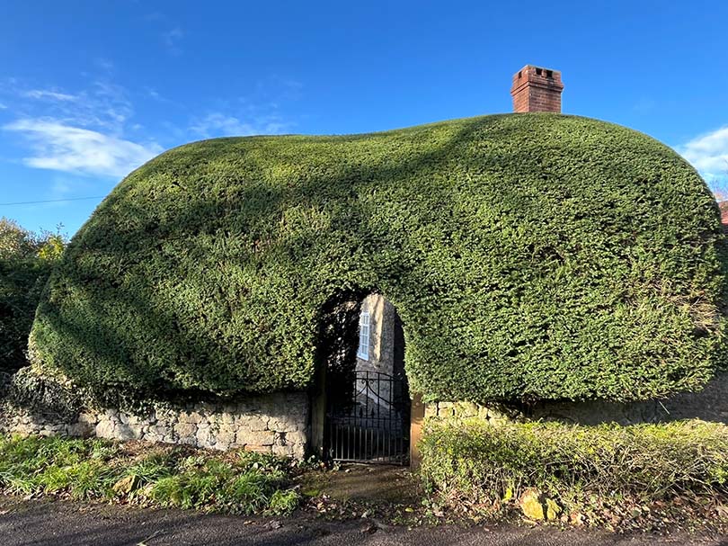 yew hedge topiary at pen selwood retreats entrance to the retreat